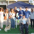 img 8984
