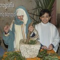 presepe vivente cerignola