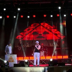Cicchella