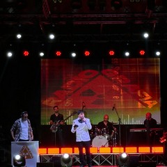 Cicchella
