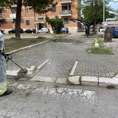 Sfalcio erba a Cerignola