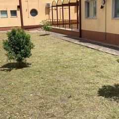 Sfalcio erba a Cerignola