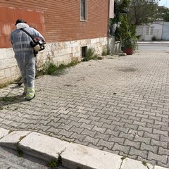 Sfalcio erba a Cerignola