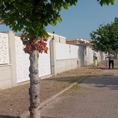 Sfalcio nel quartiere Torricelli