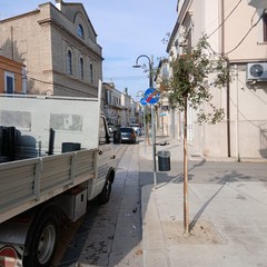 Nuovi cestini a Cerignola