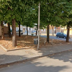 Nuovi cestini a Cerignola