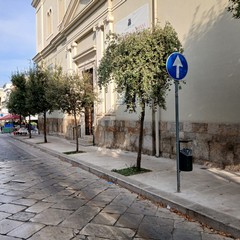 Nuovi cestini a Cerignola