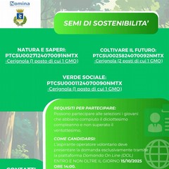 Servizio Civile Agricolo