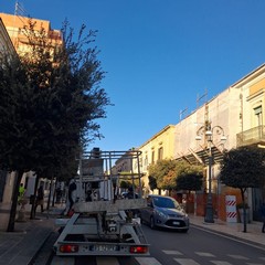 Potature a Cerignola