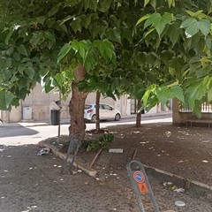 degrado via Corsica