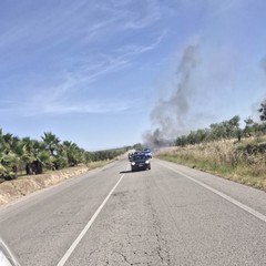 Incendio di sterpaglie sulla S.S. Manfredonia, paura a pochi chilometri da Cerignola