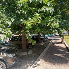 degrado via Corsica