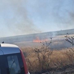 Incendio di sterpaglie sulla S.S. Manfredonia, paura a pochi chilometri da Cerignola