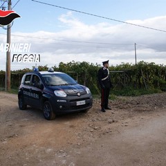 Antimafia Azienda Agricola Mottola