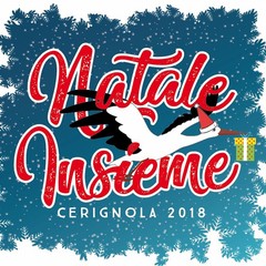 banner Natale Insieme