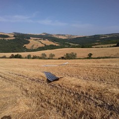 capannoni scoperchiati Roseto Azienda Falcone