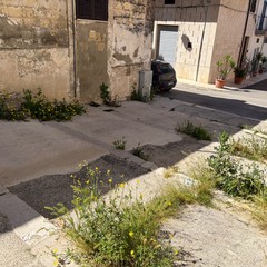 Erbacce e degrado in Via Masaniello