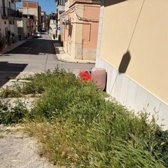 Erbacce e degrado in Via Masaniello