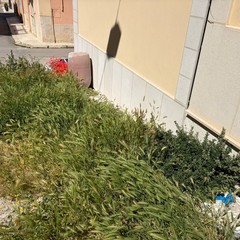 Erbacce e degrado in Via Masaniello