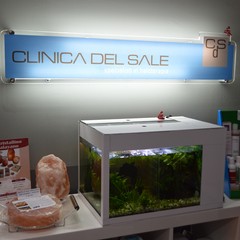 Clinica del sale