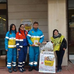 Colletta alimentare Misericordia
