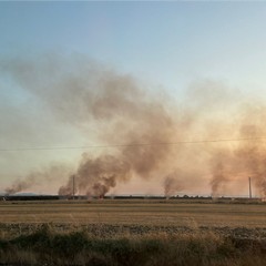 incendio sp 77