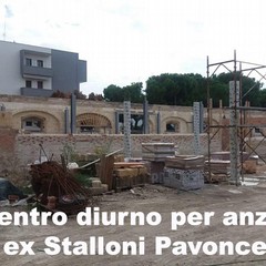 es stalloni Pavoncelli