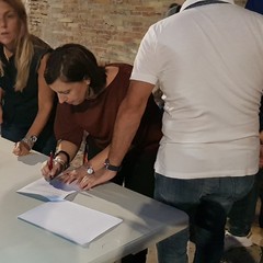 Firma Nataly Plavan