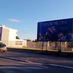 Grieco lascia lAudace