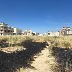 incendio al Piano delle Fosse