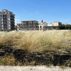 incendio al Piano delle Fosse