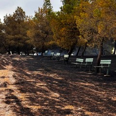 Incendio Santuario Madonna di Riapalta
