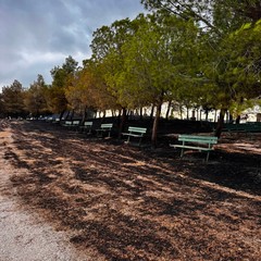 Incendio Santuario Madonna di Riapalta