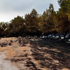 Incendio Santuario Madonna di Riapalta