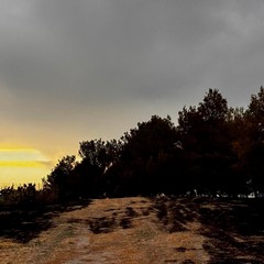 Incendio Santuario Madonna di Riapalta