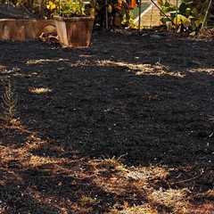 Incendio Santuario Madonna di Riapalta