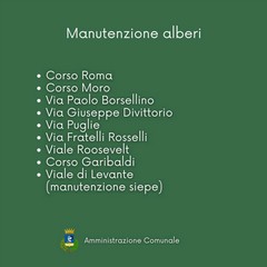 Interventi manutenzione verde pubblico Cerignola