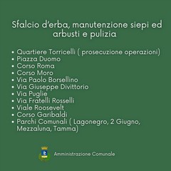 Interventi manutenzione verde pubblico Cerignola