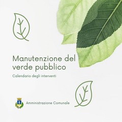 Interventi manutenzione verde pubblico Cerignola