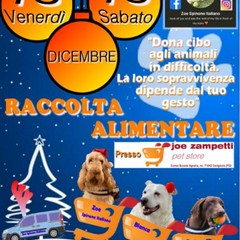 Locandina raccolta alimentare cani e gatti