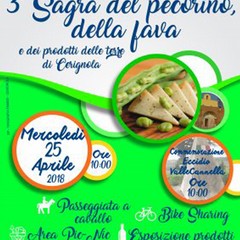 locandina sagra