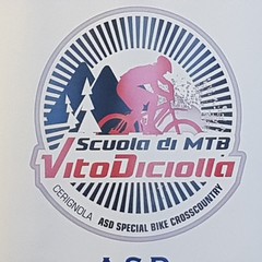 Logo Vito Diciolla