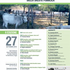 Manifesto convegno brucellosi