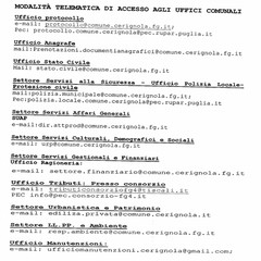 Modalit accesso telematica