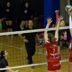 PALLAVOLO CERIGNOLA VS BOASORTE BARLETTA