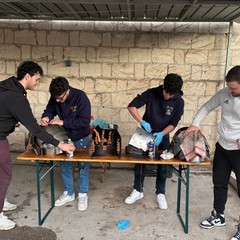 Passio Christi Cerignola