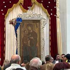 La Madonna di Ripalta ritorna in città: strade colme di gente a Cerignola