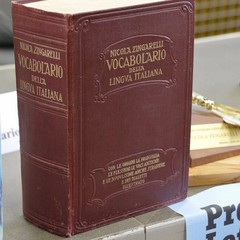 premio zingarelli vocabolario