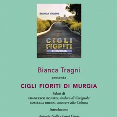 Presentazione libro Banca Tragni