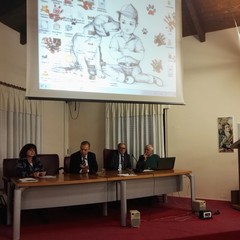 Presentazione Pet Therapy